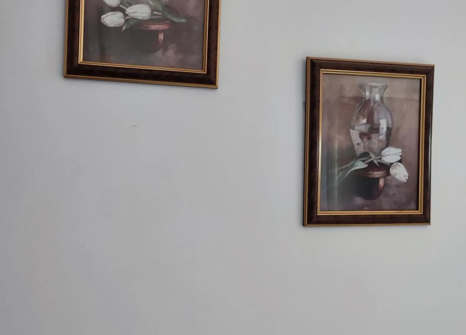 Bed & Breakfast Guest House Zotkaj Berat